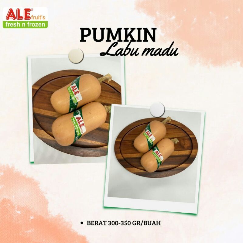 

Pumkin, greenhous, butternut pumkin, labu madu, pumkin butternut