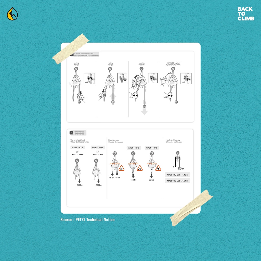 Petzl Maestro S dan L Descender Rescue Safety