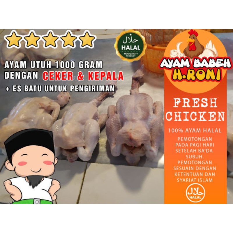 

[ FRESH ] Ayam Potong 1,2 kg /Boiler/Halal chicken