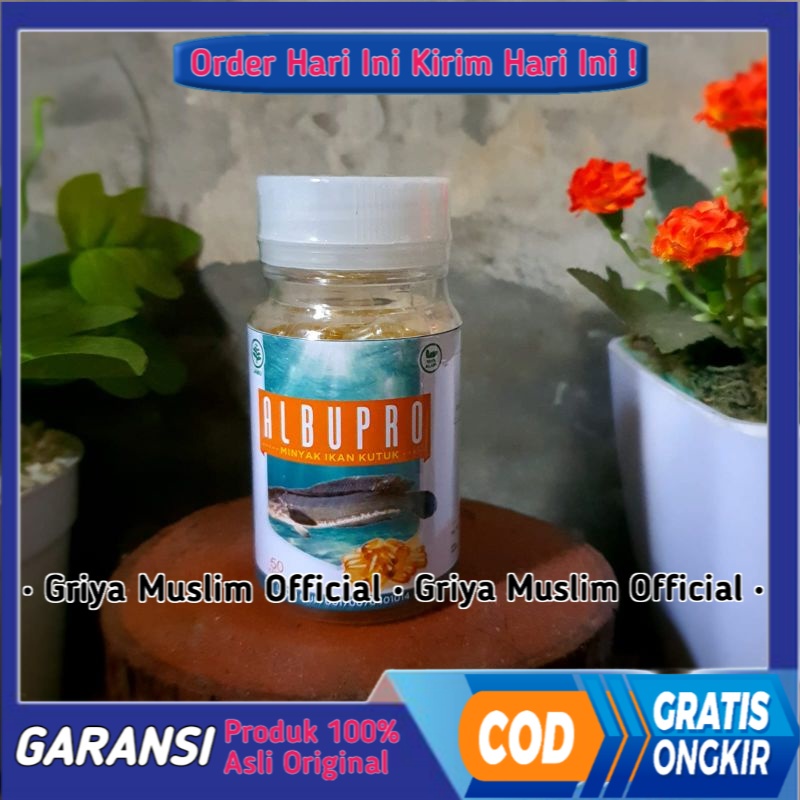 BISA COD Minyak Ikan kutuk Original Minyak Ikan Gabus