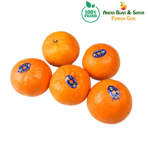 

Buah Jeruk Wokam Mandarin 500 gram