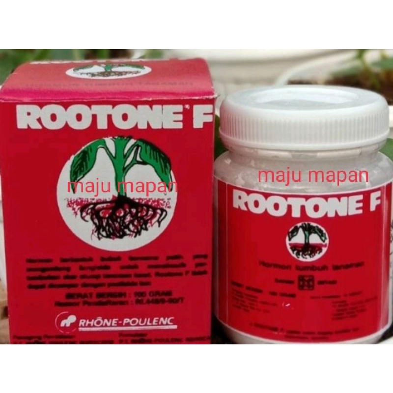 hormon perangsang akar rootone F 100gr