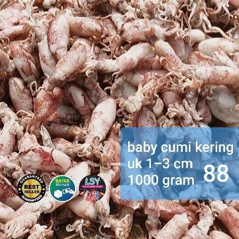 

Diskon ikan asin baby cumi / cumi rebus kering 88% 1kg Diskon
