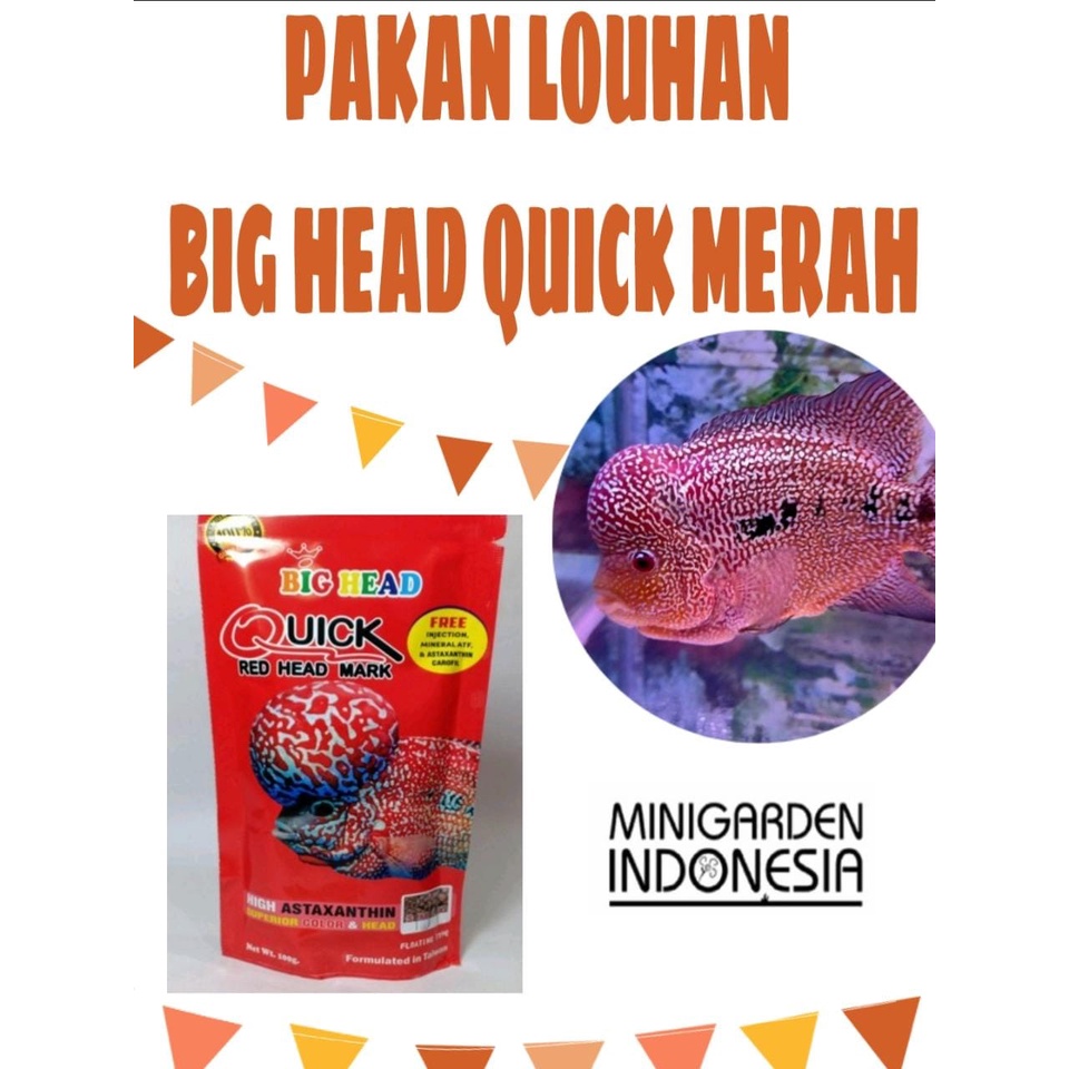 BIG HEAD QUICK RED HEAD MARK 100GR OKIKO PAKAN PELLET PELET LOUHAN