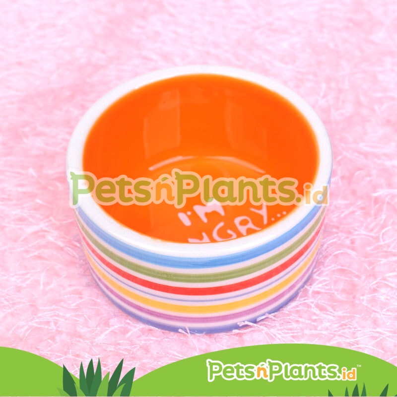 Tempat Makan Hamster Keramik Premium Import - Aneka Model Warna Ukuran