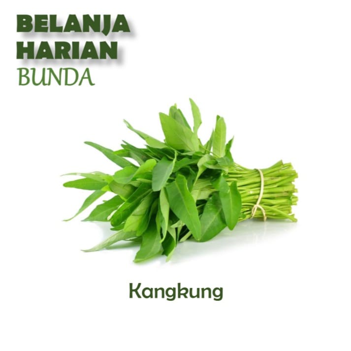 

kangkung 1 ikat