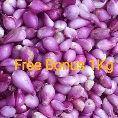 

Bawang Merah Kupas Brebes Besar uk ¼ kg + Gratis Bonus