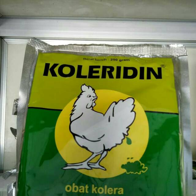 Jual Koleridin 250gr Serbuk Obat Untuk Pencernaan Berak Hijau Atau Kolera Pada Ayam Bebek Puyuh Indonesia Shopee Indonesia