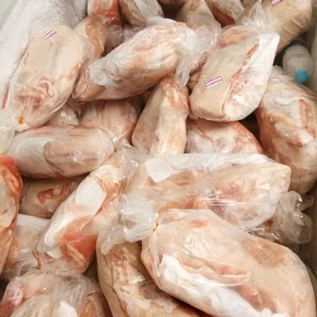 

Bebek Hibrida / Lokal 1.0 - 1.1 Kg