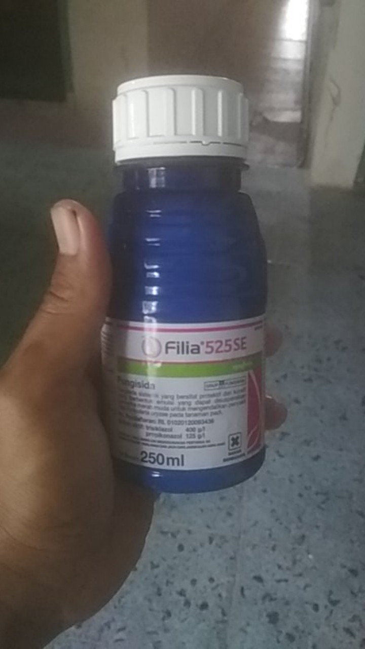 Fungisida Fillia 525se 250ml Obat Hawar Daun Dan Blast