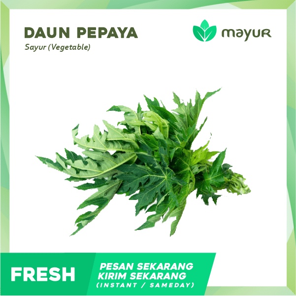 

Daun Pepaya 1 Ikat