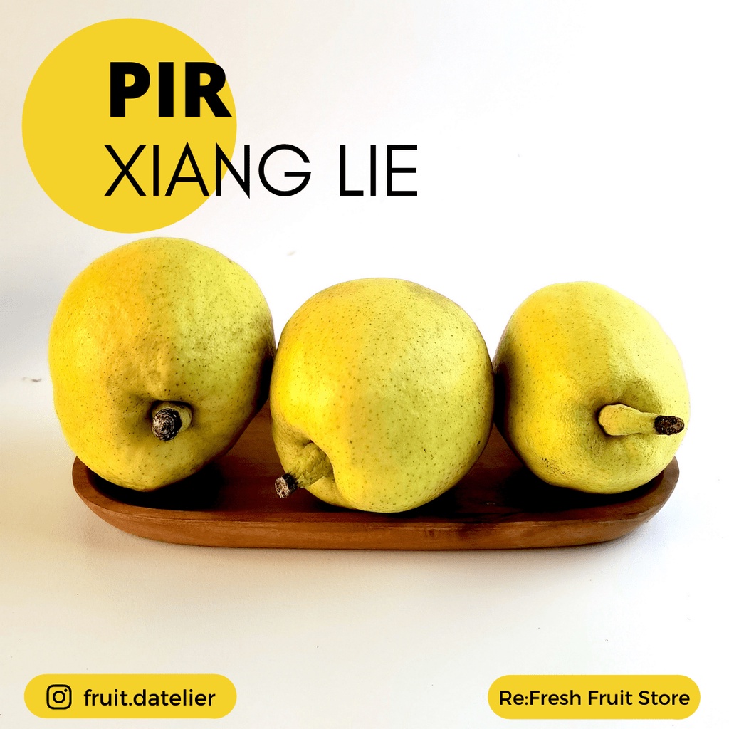 Pir Xiang Lie / Xiang Li Pear XiangLie