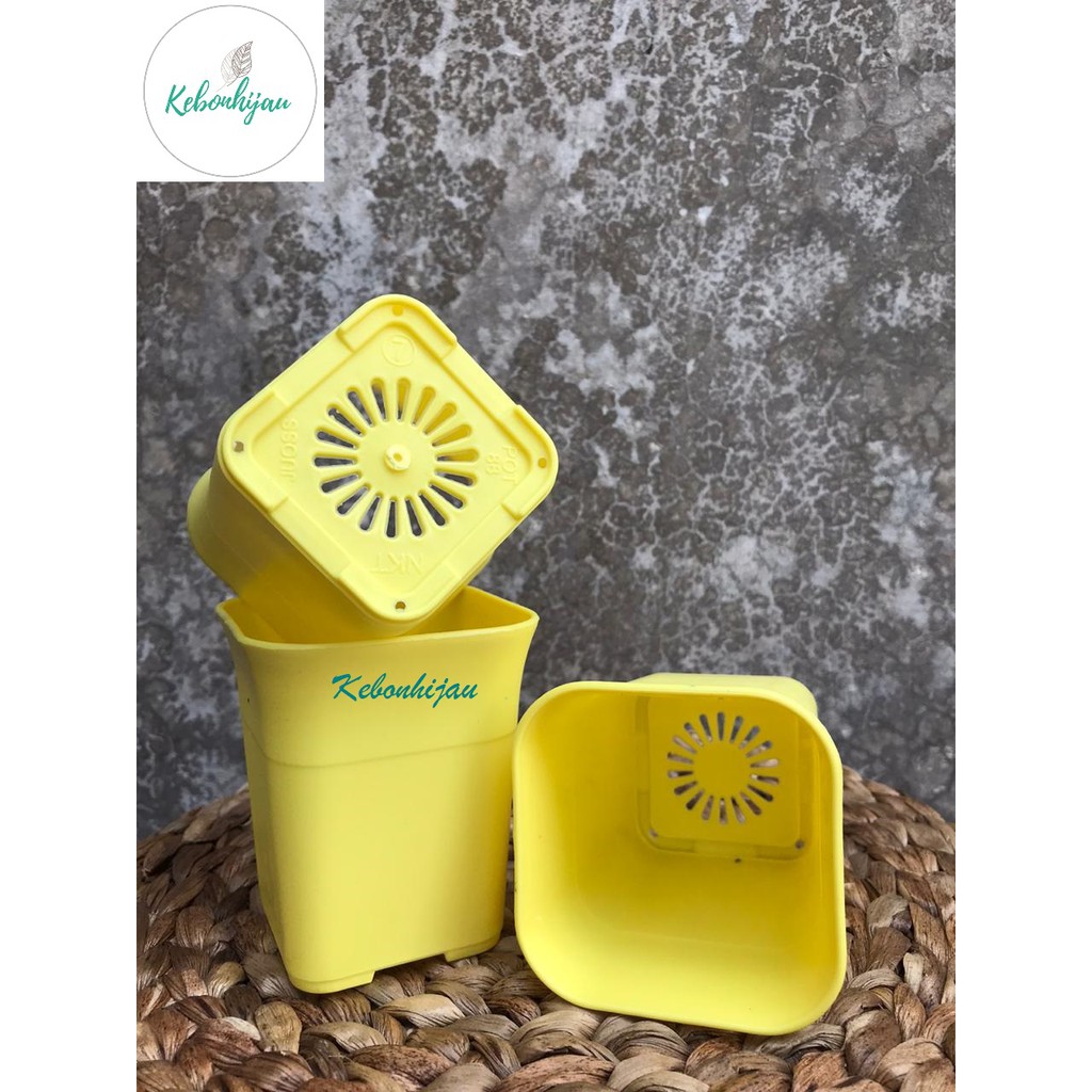 Pot Kotak Kuning 7 cm / Pot Kotak 7 cm Kuning / Grosir Pot / Pot Murah / Pot Bunga