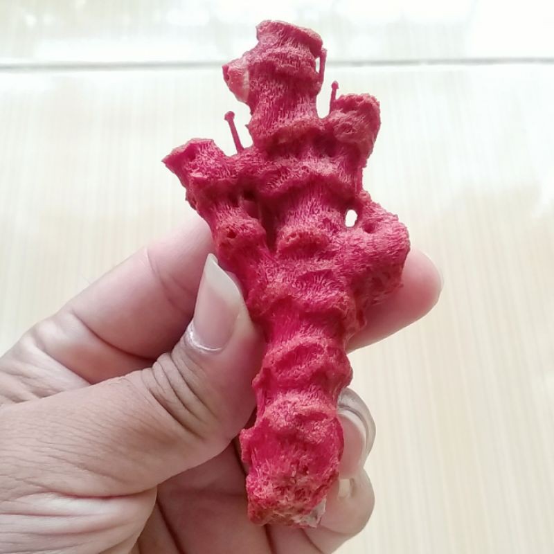 Batu Natural Red Coral / Marjan Merah Karang Laut Asli 02