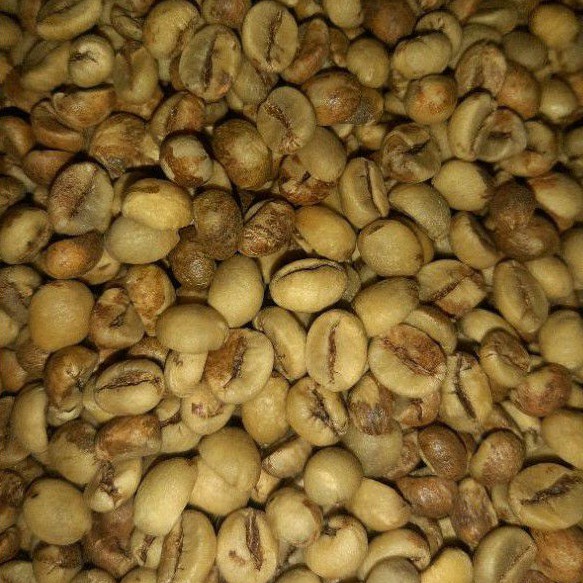 

Green Bean Robusta Argo Grade 1 (Biji Kopi Mentah)