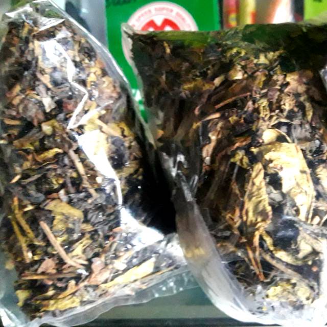 

TEH PUCUK BURANGRANG ASLI ORIGINAL MENYEHATKAN
