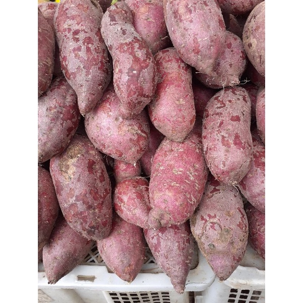 

ubi ungu manis. hrg yg tertera utk 1kg