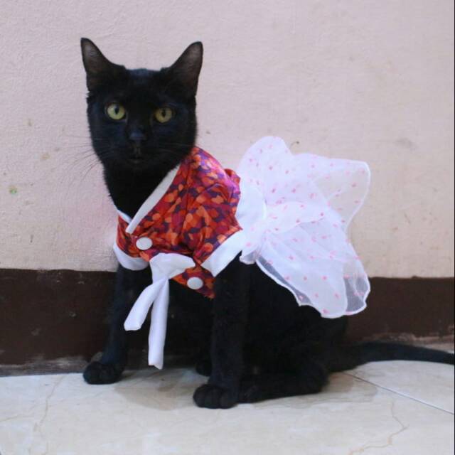 Dress hanbok tutu bunga merah lucu untuk kucing dan anjing / baju kucing murah size S M L XL