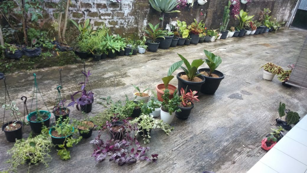 Pot Bunga Kaki Plastik 20 Cm