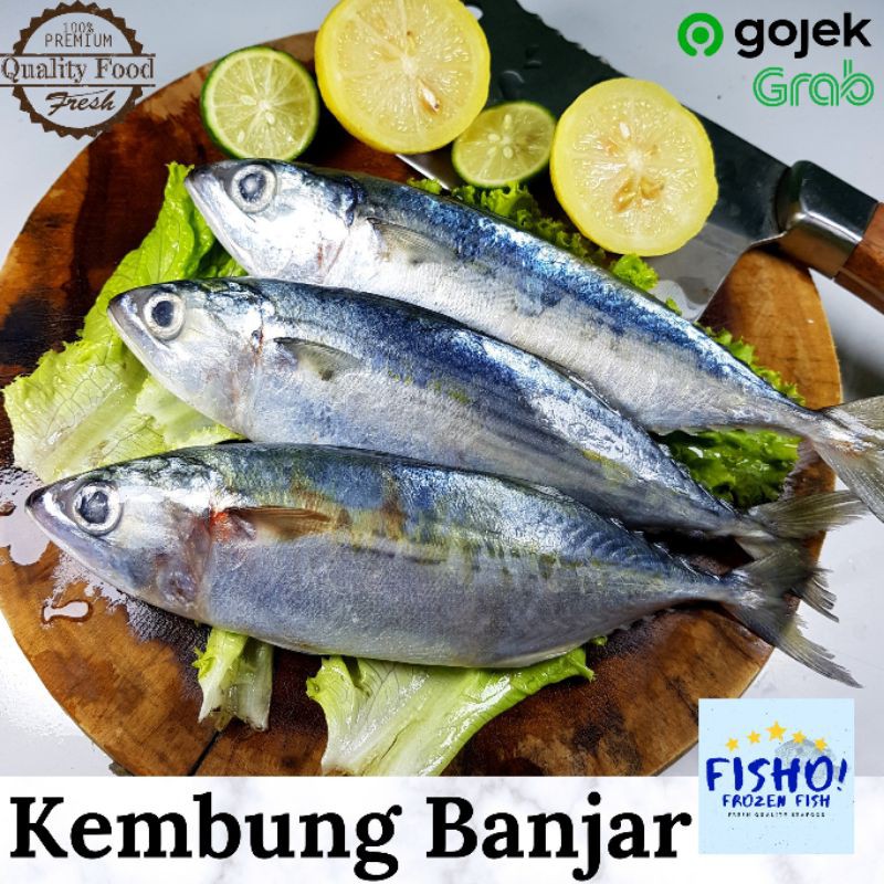 

Ikan Kembung Banjar Premium Export Quality 1 kg