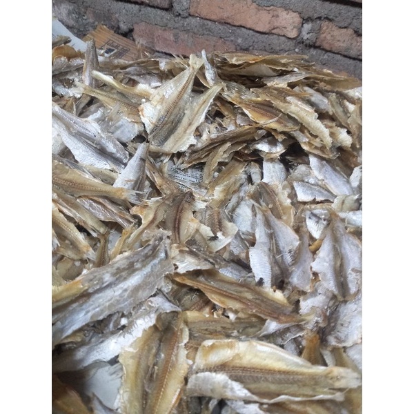

Ikan Tipis Tawar