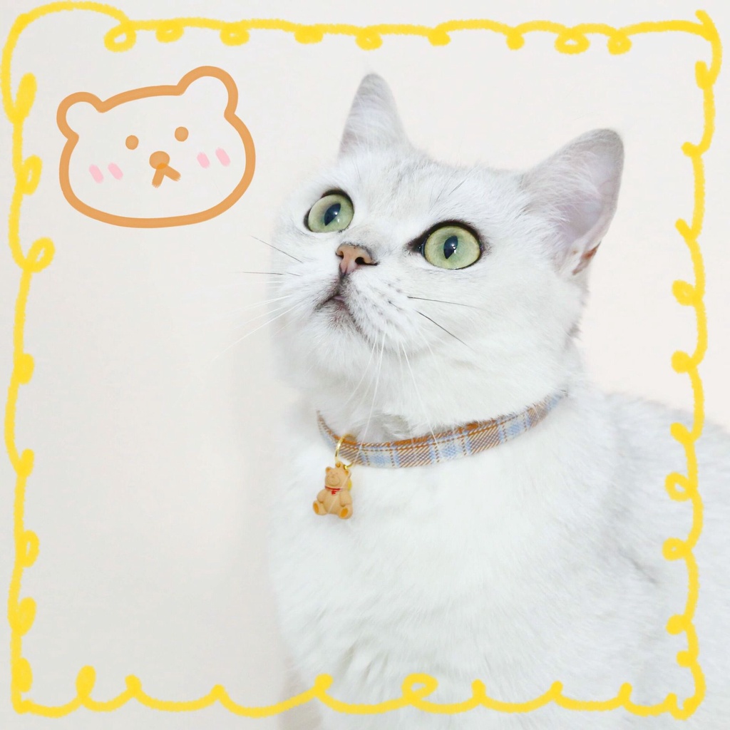 ★〓YUFeiPet〓★Cute Cat Collars Many Kinds Pendant Adjustable Safety Kitten Collar Puppy Chihuahua Raabit Necklace with Bells Pets Accessories