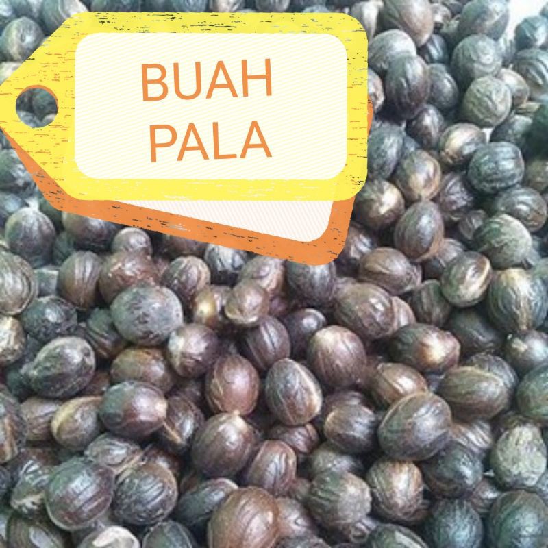 

buah pala