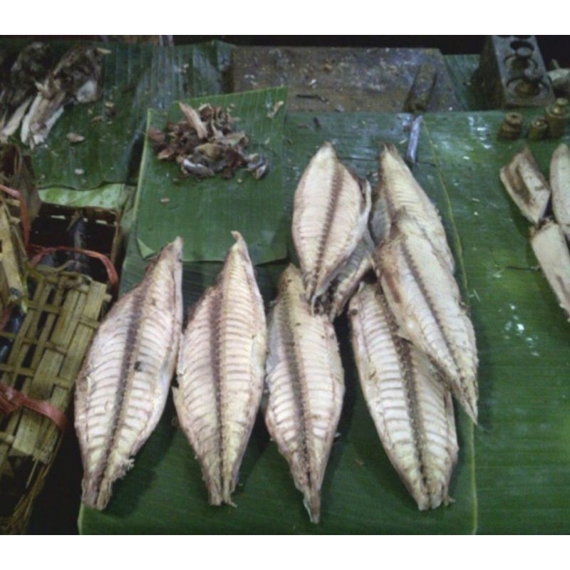 

Tongkol Pindang 1 ekor