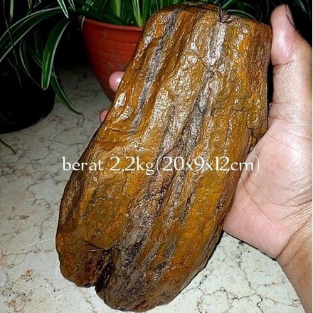 batu akik bahan fosil kayu galih kelor(080)