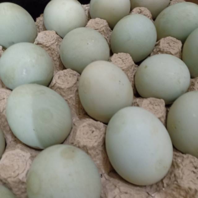 

Telur/ telor asin super masir