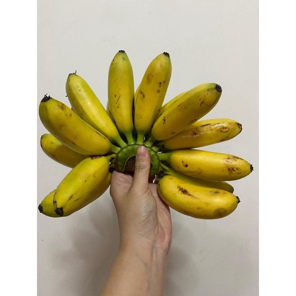 

PISANG BARANGAN MAS. PISANG ENAK. PISANG FRESH. SEGAR.