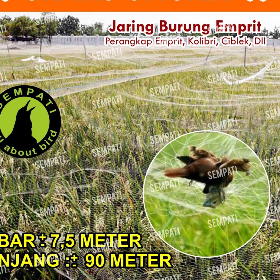 ● JARING BURUNG JARING PADI JARING EMPRIT JARING SAWAH 7,5 x 90 METER JEBAKAN PERANGKAP BURUNG JARIN
