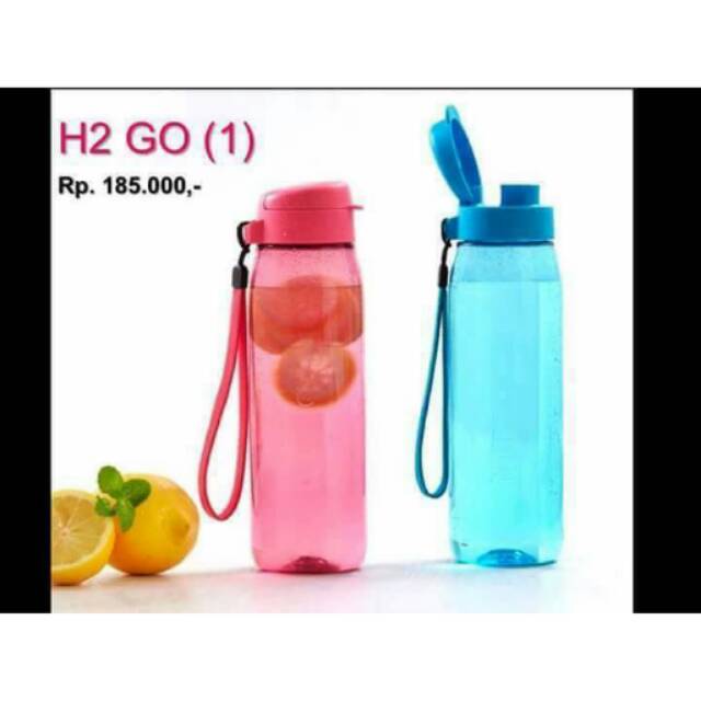 H2Go