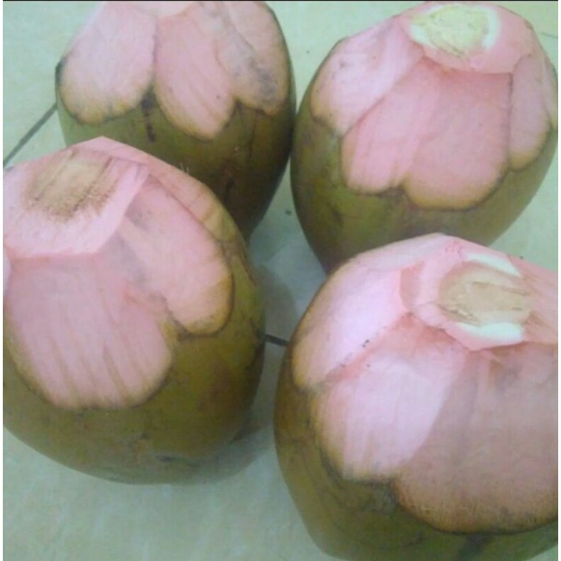 

Kelapa Ijo & Kelapa Muda