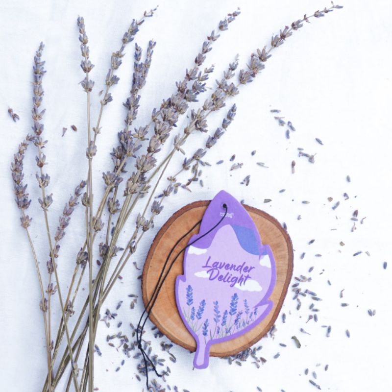 Summer Spring - Pewangi Ruangan/Pewangi Mobil/Pewangi Lemari/Pewangi Toilet/Pewangi Mall Bentuk Daun