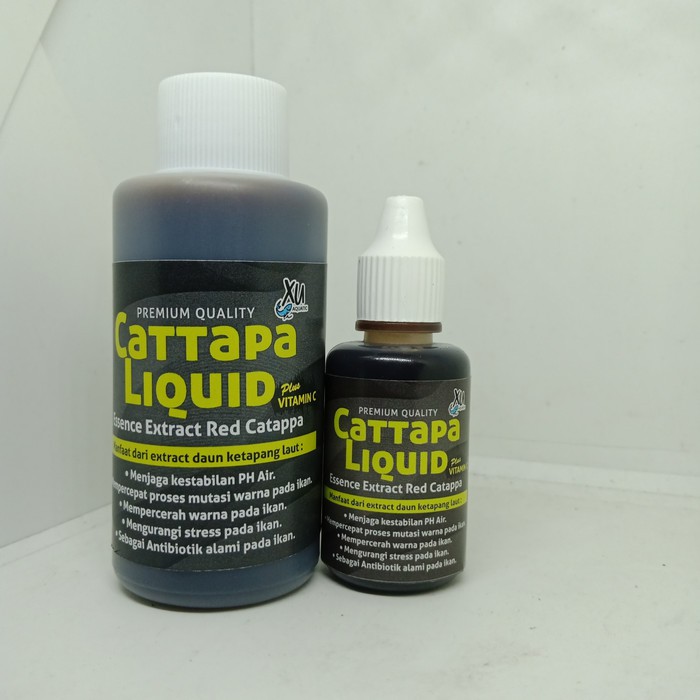 ekstrak ketapang laut premium plus vitamin C / extrak ketapang 30ml