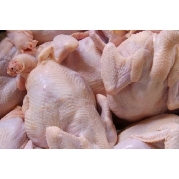 

Daging Ayam Segar/500gr