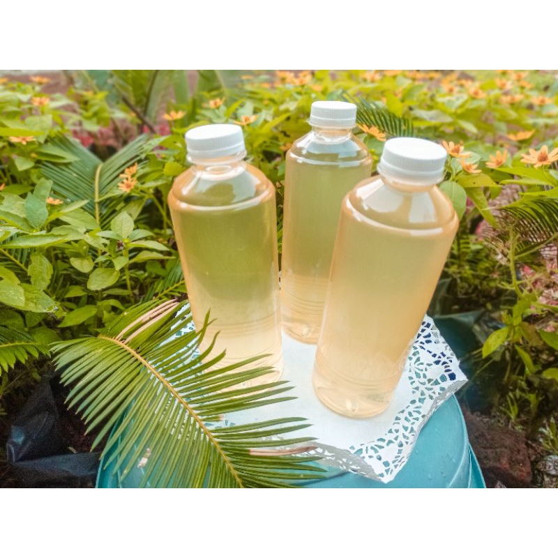 

Minyak Kelapa Asli 500ml Murni 100% / Klentik / Keletik / Kelentik / Lentik