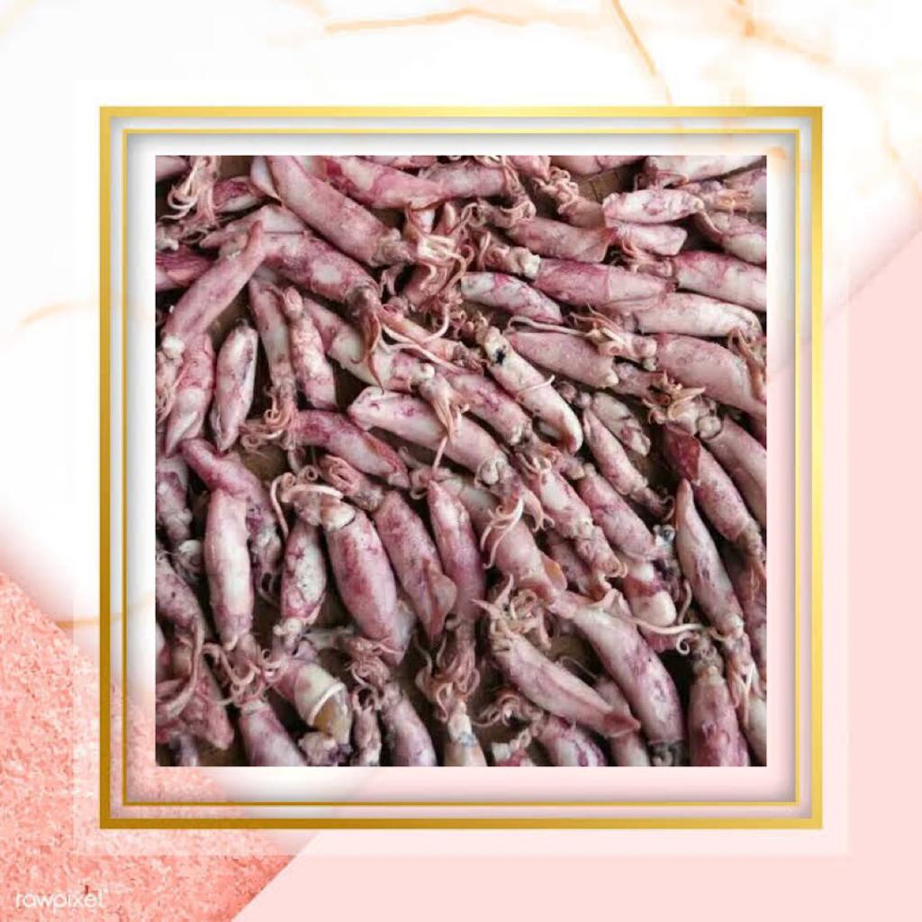 

Cumi Sotong Asin 250gram