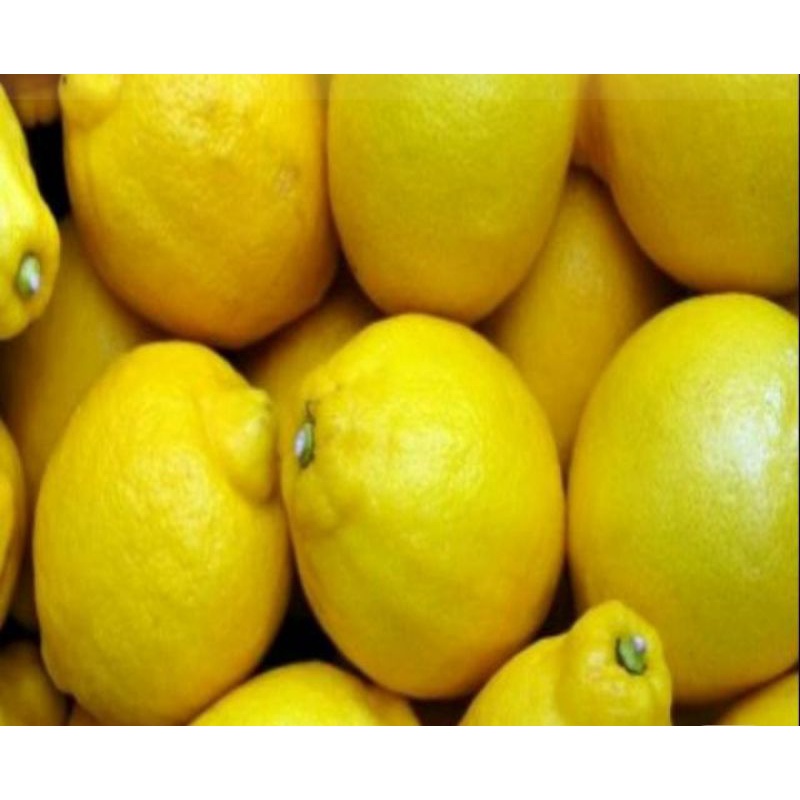 

♥️ TOKO MEDAN ♥️ Jeruk lemon import california 500gram