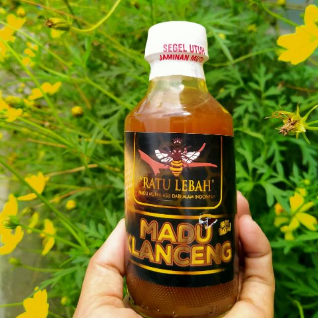 

Madu klanceng ori murah
