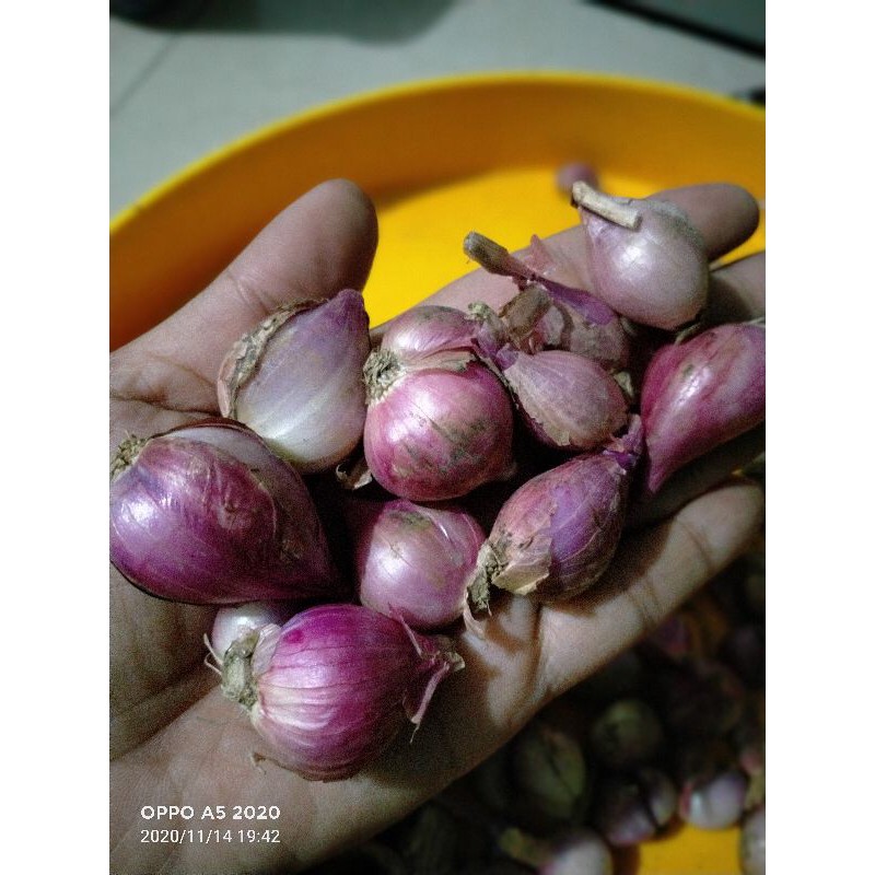 

bawang merah nganjuk/ kilo 28 k