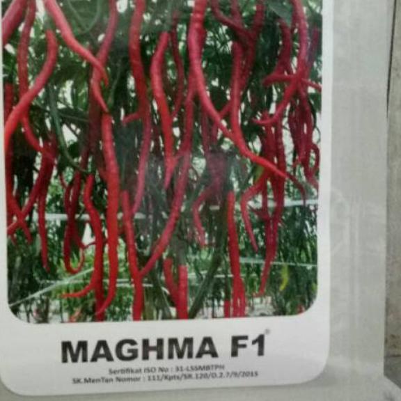 ➹ Benih bibit cabe keriting Maghma F1 10gram ♕
