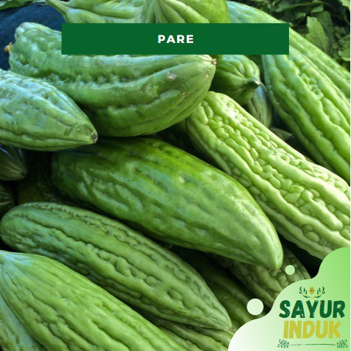 

Sayur Induk - Pare 250 Gram Fresh Grade A Peria Bitter Melon