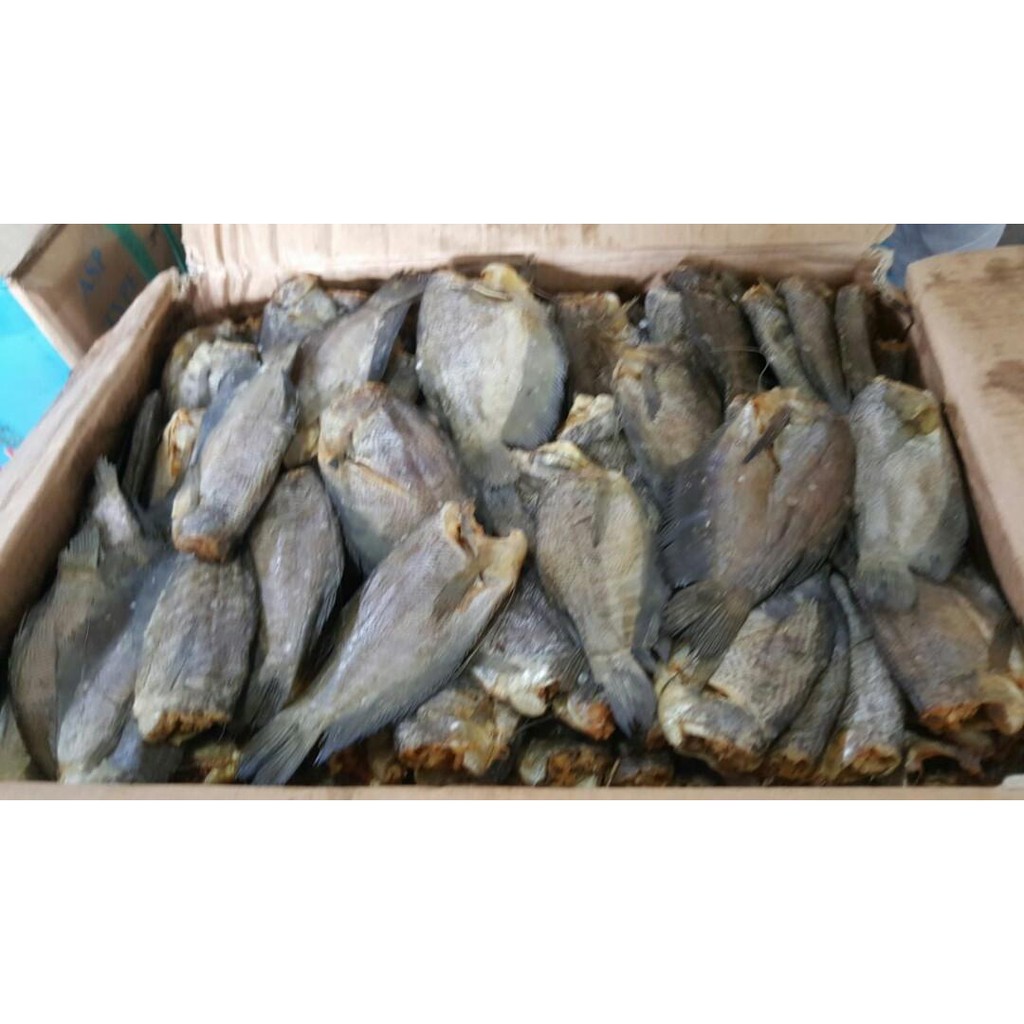 

Asin Sepat 100 gram | GRATIS minimal belanja 69rb CEK DESKRIPSI