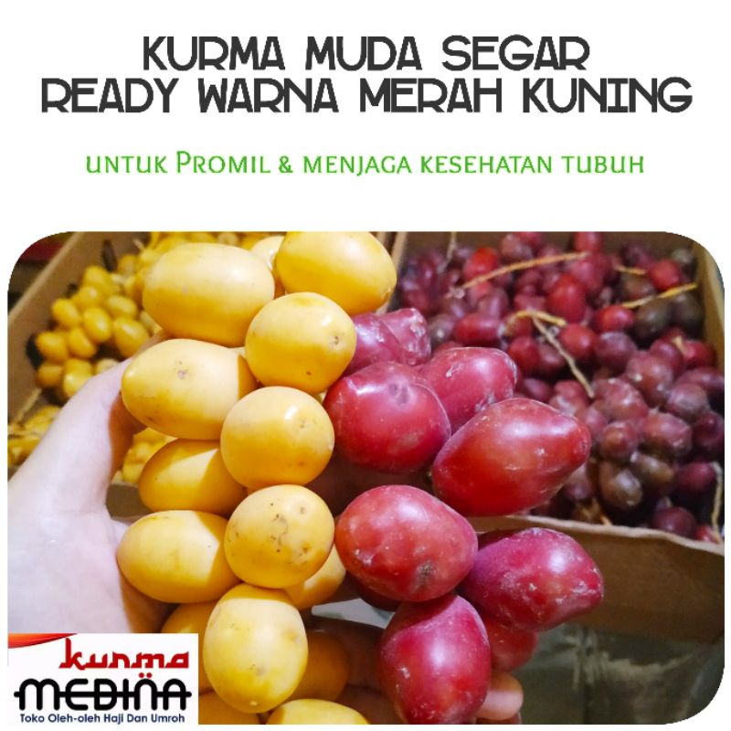 

250 gr KURMA MUDA SEGAR KUNING