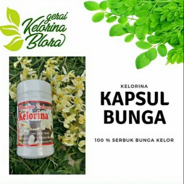Jual Kapsul Bunga Kelor Indonesia Shopee Indonesia