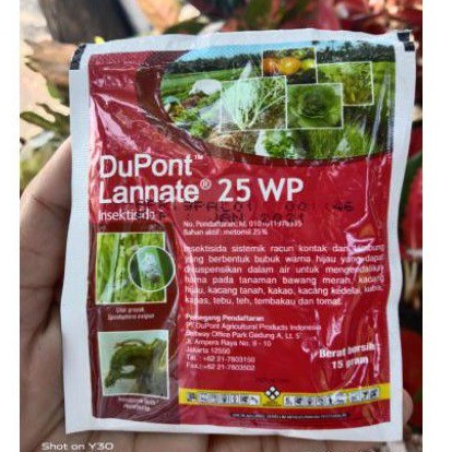 Dupont Lannate