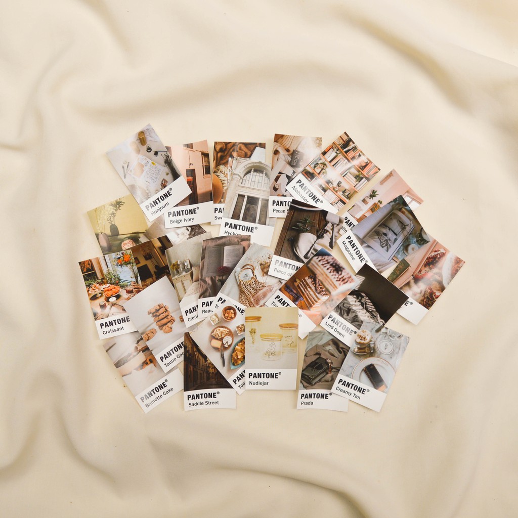 

Pantone (Creamy Brown Edition)