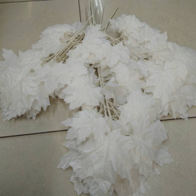 

Daun anggur putih